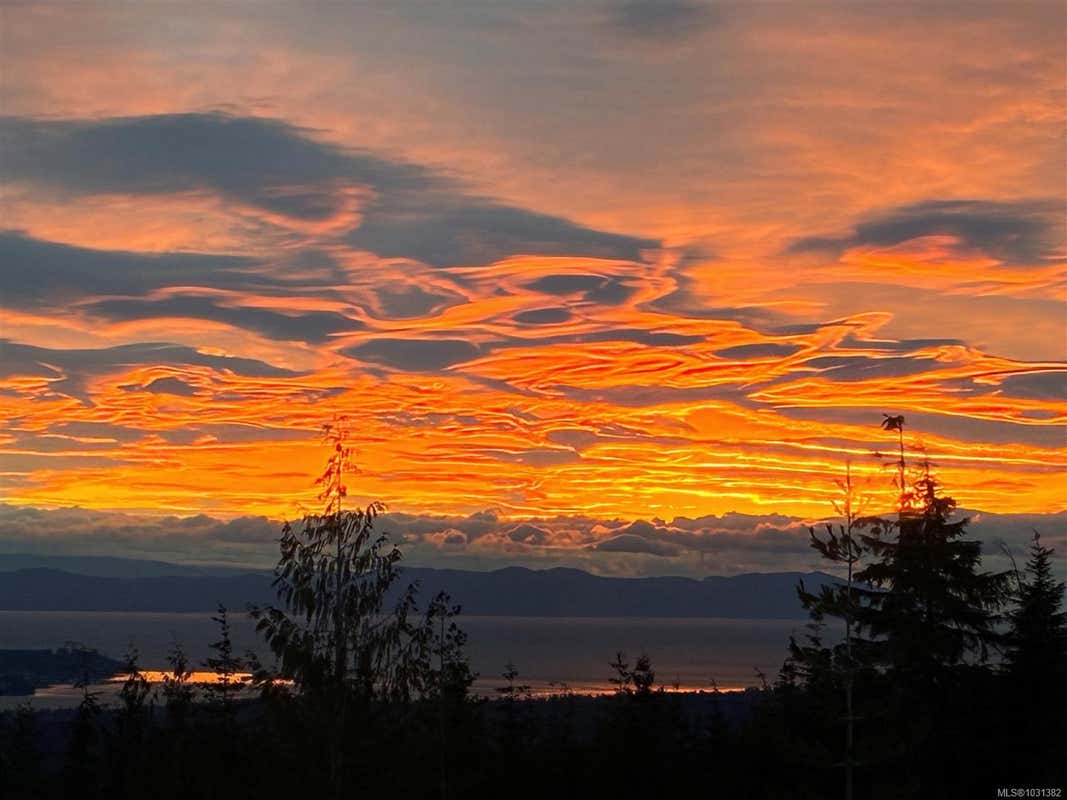 LOT B FORBIDDEN PLATEAU RD