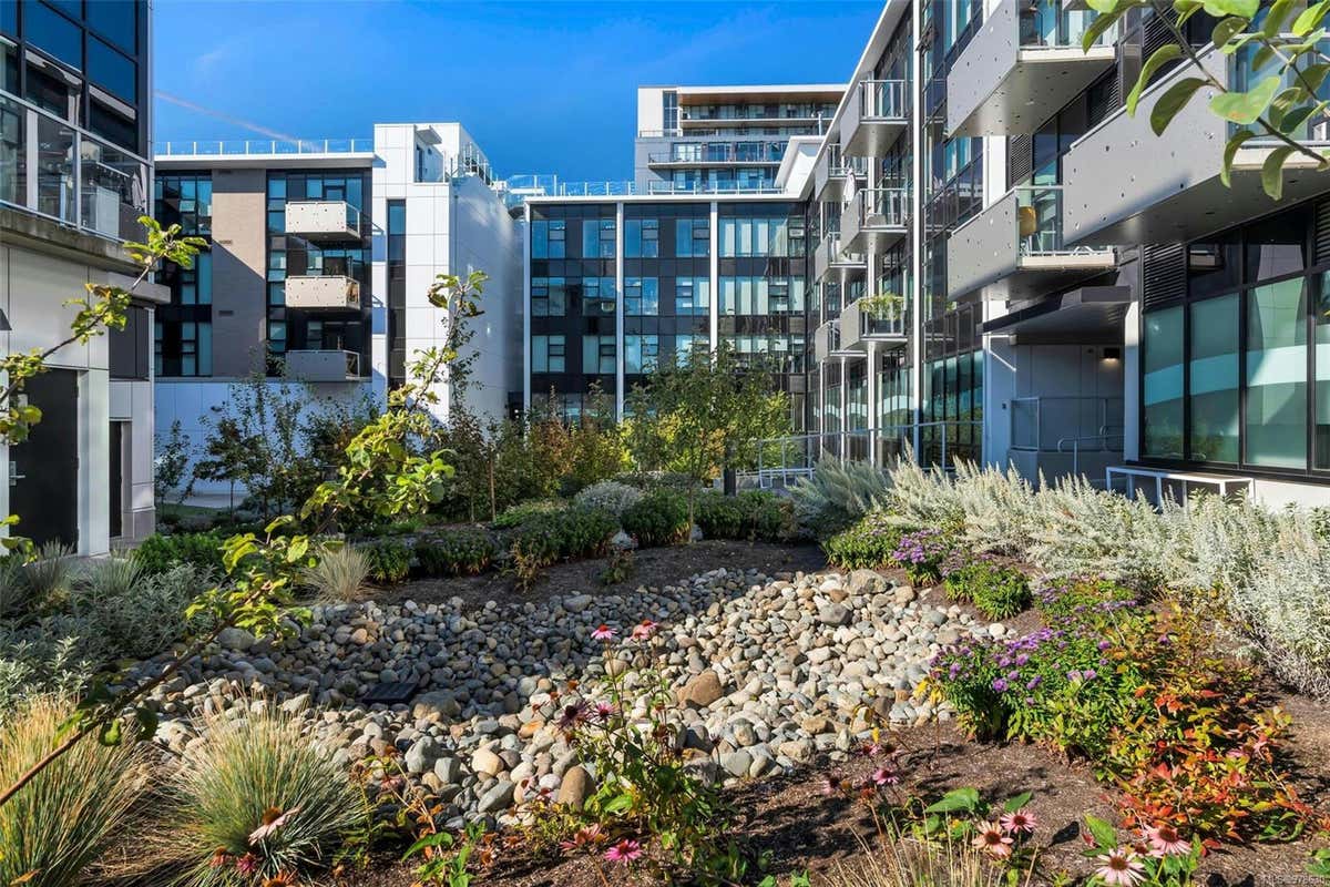 1105 Pandora Ave N216, Victoria BC V8V 3P9, Victoria, BC V8V 3P9