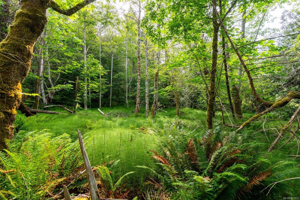 LOT 3 - 384 SEASPRAY DR