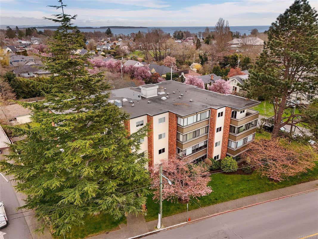 401-2535 CADBORO BAY RD, OAK BAY, BC V8R 5J1, photo 1