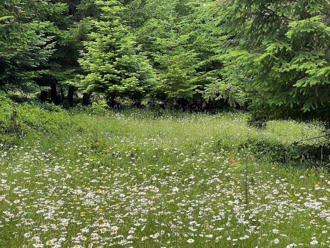 1830 Seymour Rd, Gabriola Island BC V0R 1X6