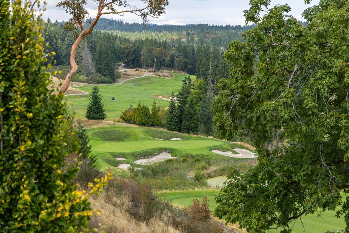 2027 HEDGESTONE LANE